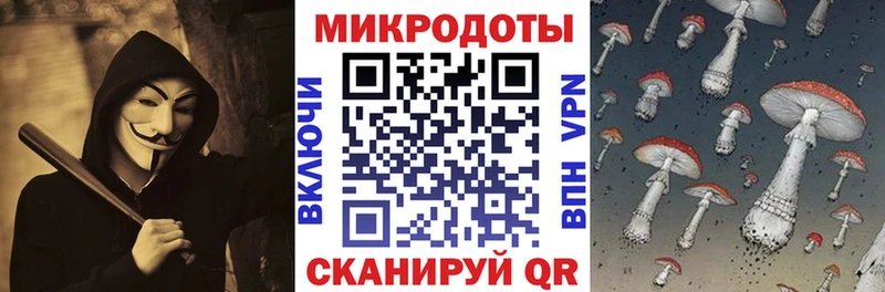 купить   Вичуга  Псилоцибиновые грибы мицелий 